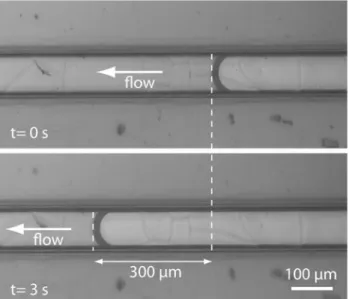 Fig. 6 Fluidic experiment showing the displacement of the meniscus of a water/air interface in a 100 9 50 lm 2 channel at a flow rate of 0.5 nl/s