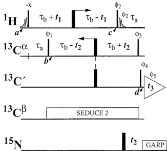 Figure 1 depicts the pulse sequence of the 3D MQ- MQ-HACACO experiment based on the HMQC  double-constant-time magnetization transfer scheme and  di-rect detection of the 13 C  coherence antiphase  rel-ative to the 13 C α spins