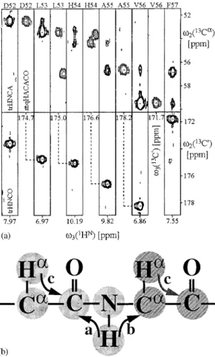 Figure 5. Optimal interscan delays, d opt 1 , calculated using the full relaxation matrix approach, displayed along with nonlinear fits to Equation 2 and the experientially observed values of d opt 1 for the 44 kDa uniformly 15 N, 13 C-labeled and fraction