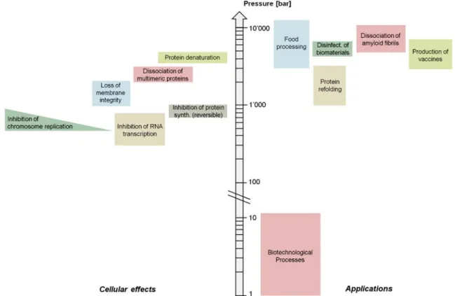 Fig. 1 Overview on the effects of pressures in the range of 1 bar to 10 kbar on microorganisms (left) and on their major applications in biotechnology (right)