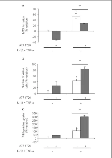 Fig. 2. A77 1726 dose-dependently increases SF proliferation in pres- pres-ence of IL-1b, TNF-a or both