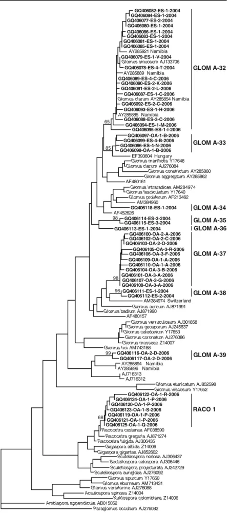 Fig. 6 Phylogenetic tree of sequences obtained in this study from the date palms in the oasis plantation (OA) in 2006 and the experimental station (ES) in 2004 and 2006 and sequences from public databases