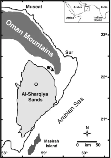 Fig. 1 Simplified map of Southern Arabia showing main geograph- geograph-ical features of the area (modified from Preusser et al