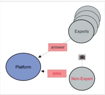 Fig. 1 Telepathology is a structured dialogue. Technically, the non-expert deposits his questions and images on a server  (plat-form)