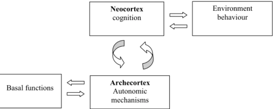 Figure 2 provides a conceptual model which delineates the brain in its neuronal interconnectivities between archecortex and neocortex (vertical circular loop) on the one hand, and the speciﬁc sets of tasks which the cortical domains can perform (horizontal