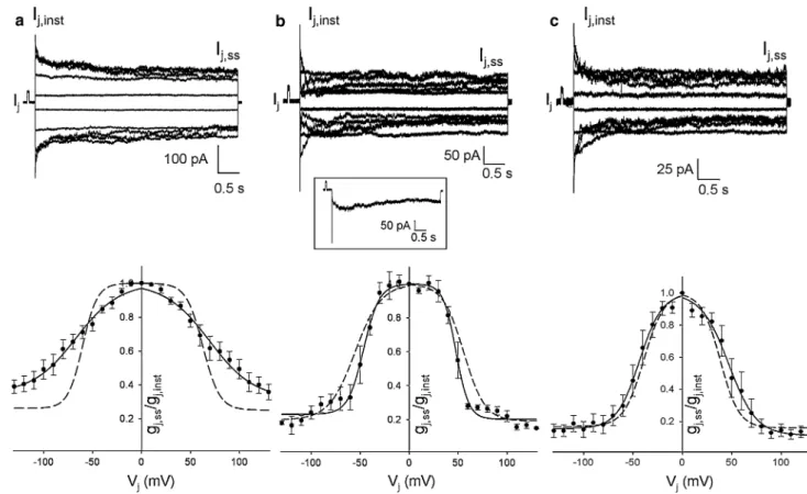 Fig. 4 Homotypic cell pairs: voltage dependence of g j . Data of Cx43- Cx43-tag (a), Cx40-Cx43-tag (b) and Cx45-Cx43-tag (c) cell pairs
