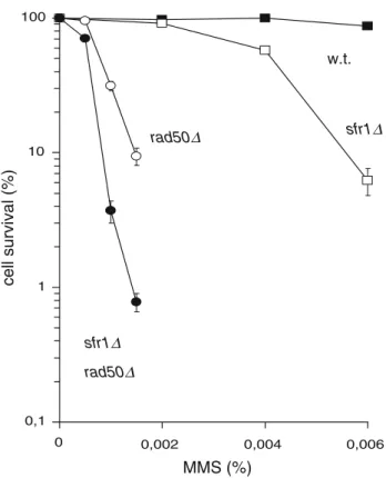 Fig. 1 Epistasis analysis of sfr1 with rad50.  sfr1 is synergistic with the deletion mutant of rad50 which is involved in DSB processing during DNA recombination and repair