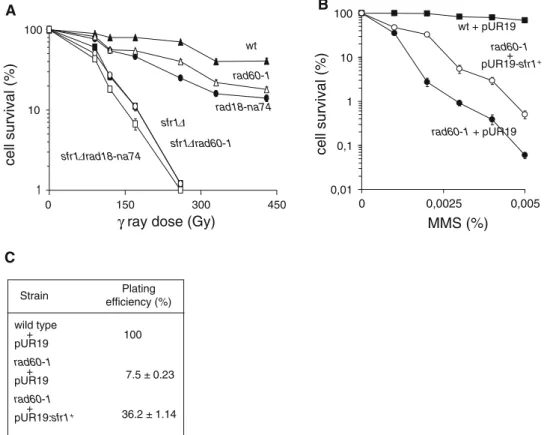 Fig. 3 Interactions of sfr1 with the rad18-na74 and  rad60-1 mutants. a -ray survival  curves of sfr1 , rad60-1,  rad18-na74, and the double mutants