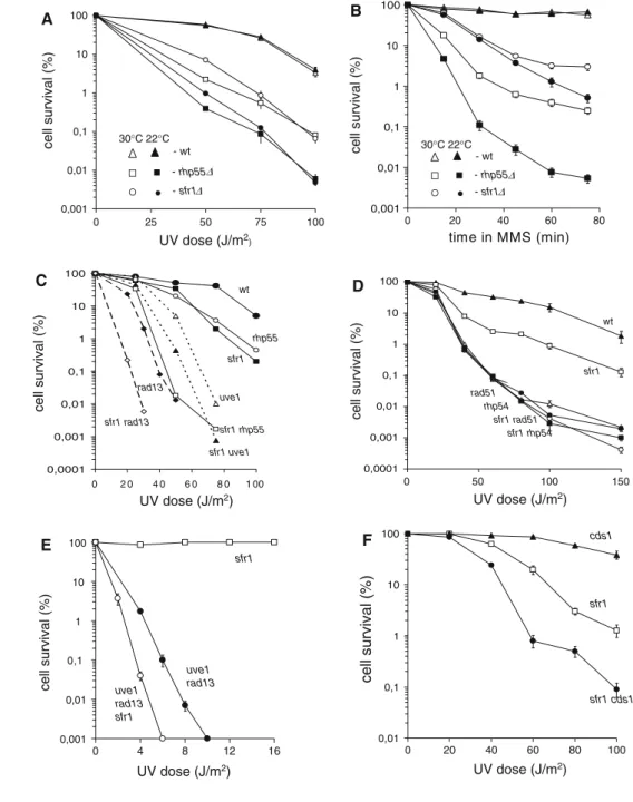 Table 2 Loss of chromosome III in sfr1  and rhp55  diploids