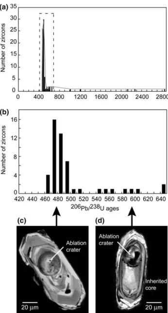 Fig. 7 Zircon 206 Pb/ 238 U age histograms and CL images for albite gneiss GROA 115. a All data