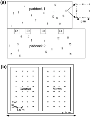 Fig. 1 (a) Experimental layout: 16 blocks were randomly located in paddock 1 (high grazing intensity) and paddock 2 (low grazing intensity)