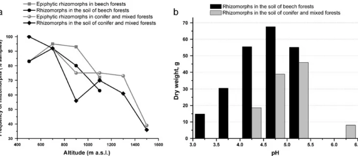 Fig. 2 Relationship between the presence of Armillaria rhizomorphs and a plot altitude (soil and epiphytic rhizomorphs) and b soil pH (soil rhizomorphs) in beech forests and conifer/mixed forests in the Uholsko-Shyrokoluzhanskyi and Chornohirskyi massifs