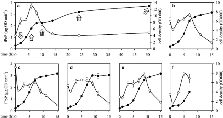 Fig. 2 Changes in iPoP levels in yeast cells upon dilution into fresh medium after preculturing to diﬀerent growth stages
