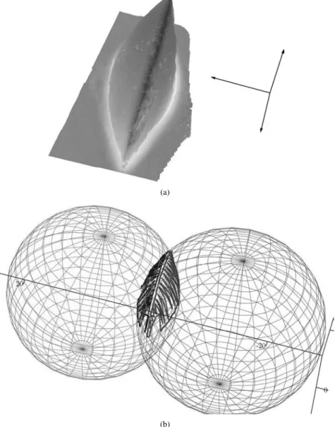 Figure 2 (a) 3D digital reconstruction of the solid–liquid interface of an intergranular inclusion, and (b) data points from each cap with the two fitting spheres