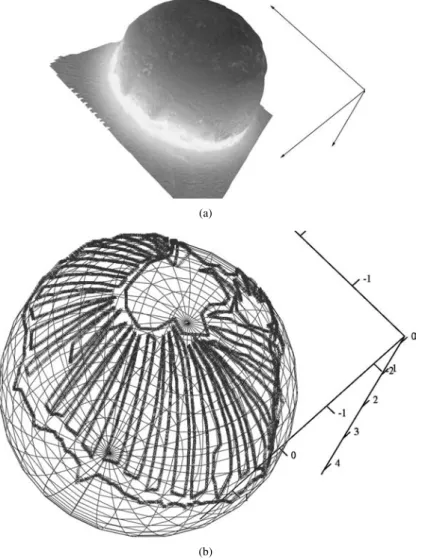 Figure 3 (a) 3D digital reconstruction of the solid–liquid interface of an intragranular inclusion, and (b) data points with the fitting sphere