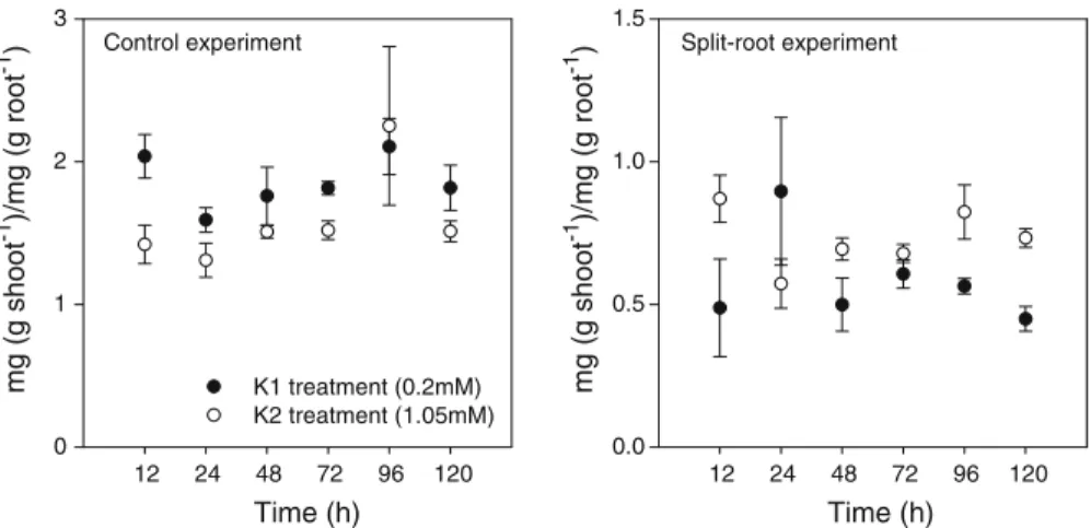 Fig. 8 Ratio of concentration of 134 Cs measured in shoot and root. Vertical bars indicate standard errors calculated from four replicates