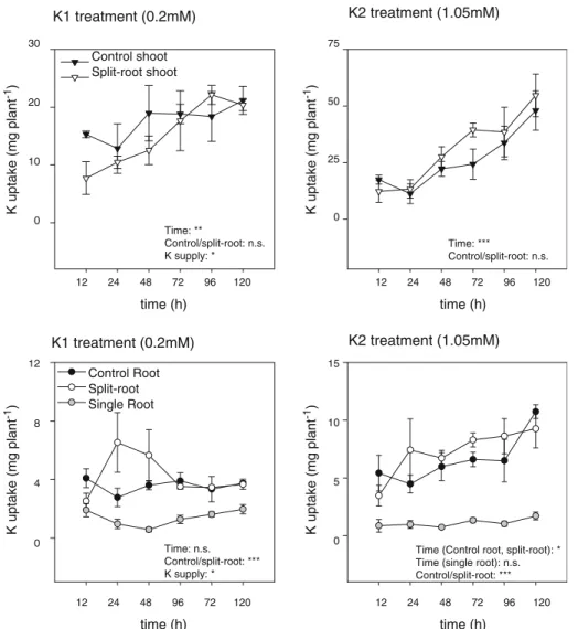 Fig. 5 Dynamic of K uptake measured at the end of each harvest. Vertical bars indicate standard errors calculated from four replicates