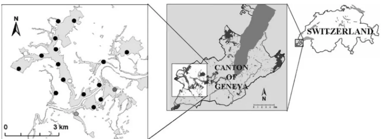 Fig. 1 Location of the Canton of Geneva and the study area. Left map Counting sites used throughout the study (black spots), only in 2004 (dark gray spot), in 2004 and 2005 (gray spot), and only in 2006