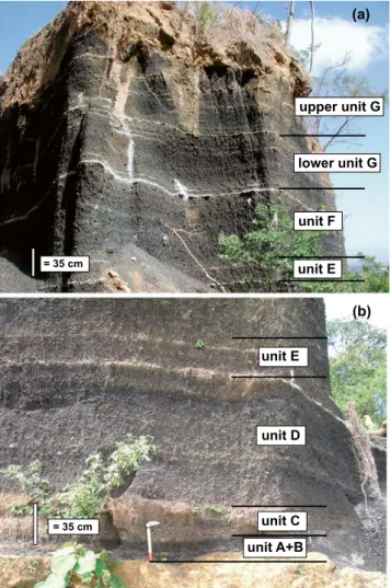 Fig. 1 Isopach maps (in cm) of a unit B and b unit C (opening eruptive stage) and c units D+E+F (main Plinian stage)