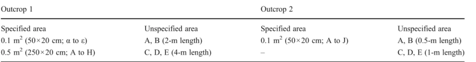 Table 2 Description of sampling sections of outcrop 1 and 2