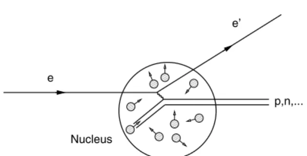 Fig. 2. Quasi-elastic electron scattering off a heavy nucleus.