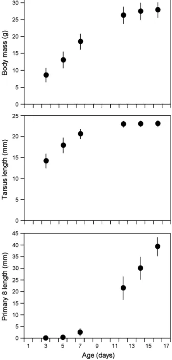 Fig. 3 Mean nestling body mass, tarsus length and length of 8th primary feather of Wrynecks at different nestling ages recorded in central Valais in 2004
