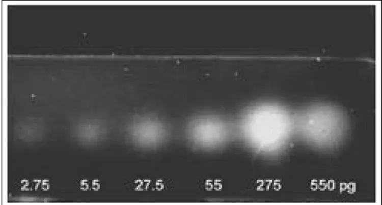 Abb. 9  Die wirkungsbezogene  Analytik  mit  der  HPTLC  als   Bin-deglied  zwischen  Biotests  und  chemisch/physikalischen   Ana-lytik-  und   Identifizierungsver-fahren