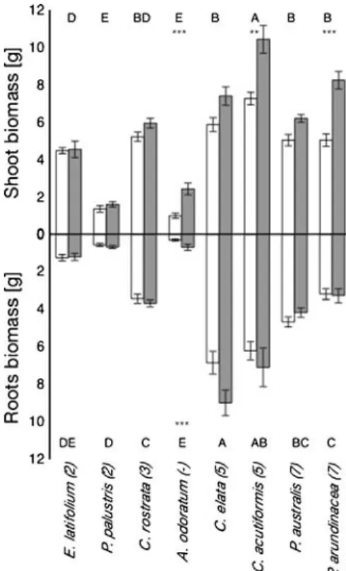 Fig. 1 Mean root and shoot biomass (dry) of the eight wetland plant species of the experiment with plants in peat cores