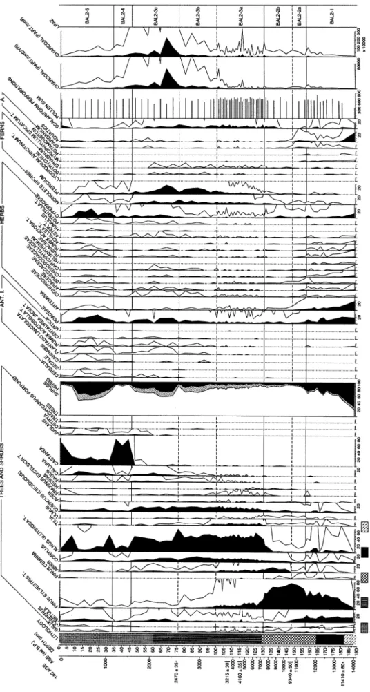 Fig. 6 Pollen-percentage diagram of core 2, BAL2 (selected taxa). Exaggeration × 10. T