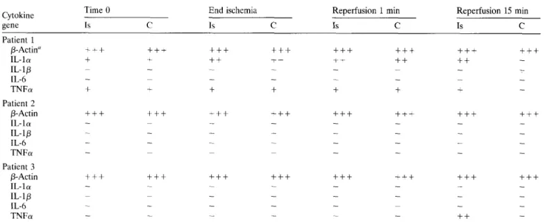 Table  3. Expression of proinflammatory cytokine genes in PBMCs from ischemic and nonischemic areas.