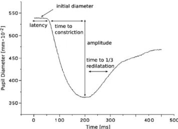 Fig. 2 Dynamic pupillometry. Subjects were studied under constant lighting conditions and reduced ambient noise