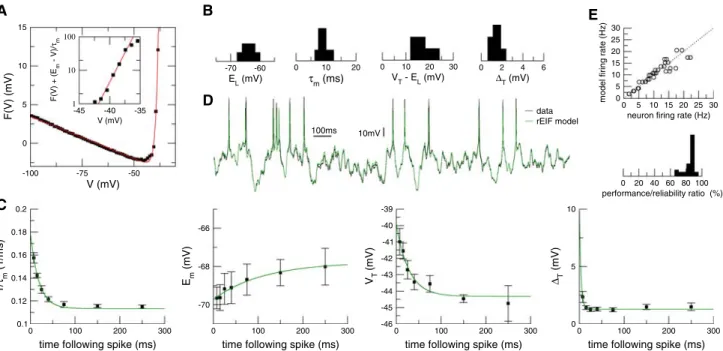 Fig. 3 GABAergic cortical interneuron models derived using the dyna- dyna-mic I –V methodology