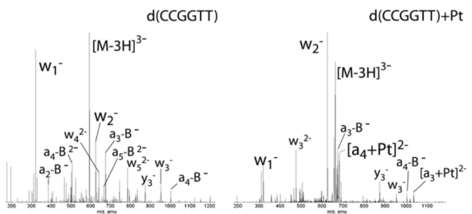 Table 1. Relative intensities of w-ions generated by CID of doubly platinated d(CCGGCTGGTT)
