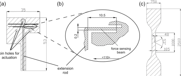 Fig. 2 Dimensions of setup: (a) shows the overall size of the specimen and of the extension rod (in mm), (b) shows the dimensions of the silicon force sensing beam (in mm) and its orientation on the wafer and (c) shows the dimensions (in μm) of the polyimi