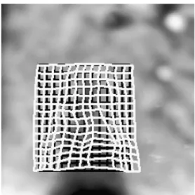 Fig. 10 SEM image of the vicinity of the crack. It shows the area opposite of the notch (see inset)