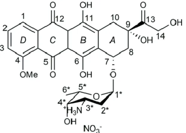 Figure 01 : Structure de la doxorubicine. 