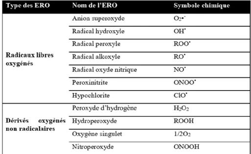 Tableau 01: Les espèces réactives de l’oxygène ERO. 