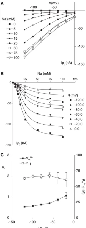 Figure 4 documents the steady-state behavior of a representative oocyte expressing NaPi-IIb when we varied the external Na + concentration in response to application of 1 m M P i that was well above the apparent K m P i (Fig