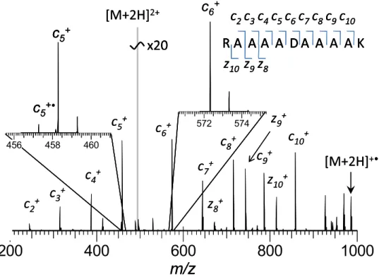 Figure 1. A typical tandem mass spectrum of peptide H-RAAAADAAAAK-OH, acquired under standard ECD FT-ICR MS conditions