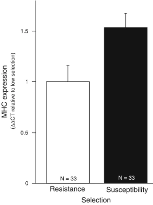 Fig. 4 Average expression of MHC class IIB genes in F2 lines selected for increased or decreased parasite load