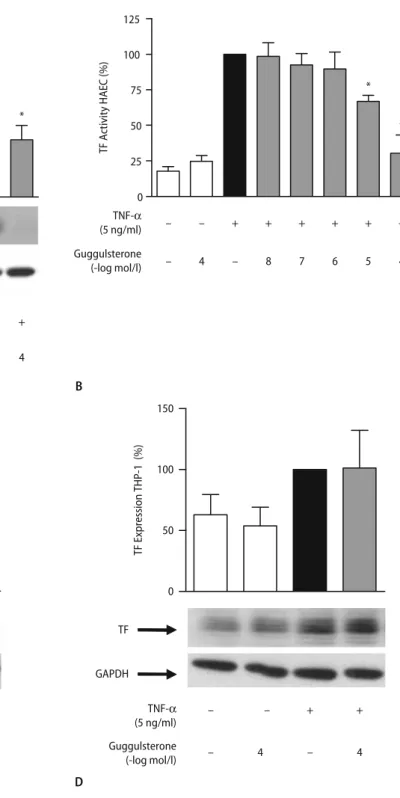 Fig. 1 Guggulsterone inhibits TF protein expression and activity. a Gugguls- Gugguls-terone inhibits TNF-a-induced TF protein expression of human aortic endothelial cells (HAECs) (P < 0.05 vs