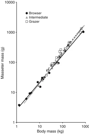 Fig. 3 Relationship of the phylogeny-controlled body mass residuals of the masseter muscle mass with the percentage of grass in the natural diet of ruminant species