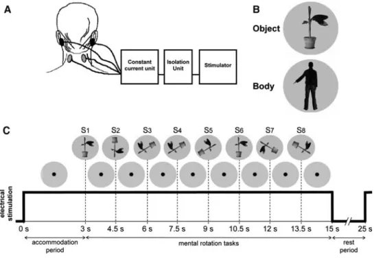 Fig. 1 Stimuli and experimen- experimen-tal set-up. a For bipolar, binaural  galvanic vestibular or sham  stimulation an electrical  stimula-tor was used to deliver a square  wave pulse through an isolation  unit and a constant current  stim-ulus unit to t