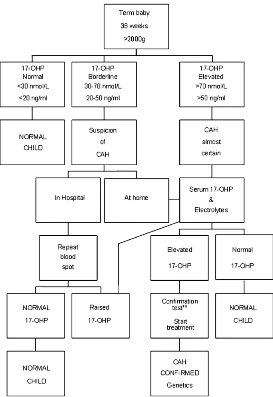 Fig. 2 Example of a possible screening flowchart for term babies