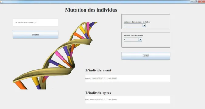 Figure 3.11 Interface de croisement 