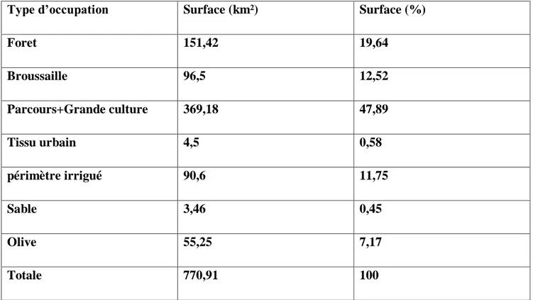 Tableau 04 : Répartition des types de végétation par classes de superficie (Brahmia 2016)