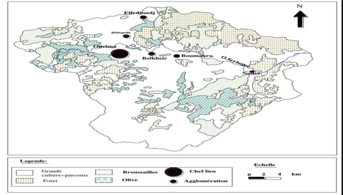 Figure 04 : Carte de couverture végétale du bassin de la moyenne Seybouse Guelma(Algérie) 
