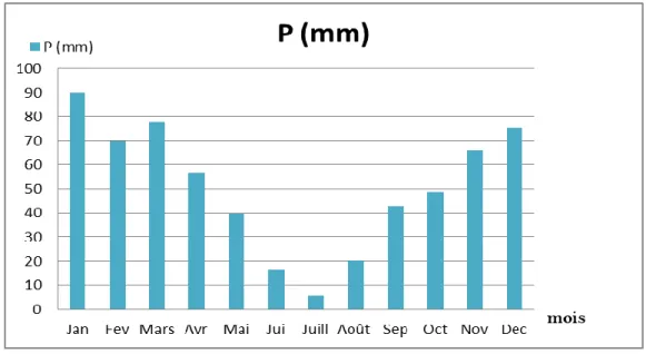 Figure 11 : Variation des précipitations Total mensuelles à la station de Belkhir (2002/2018) 