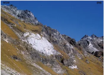 Fig. 5 Large block of marble in the Alpe Tamia–Campo wildflysch at Alpe Tamia. Smaller ones are also visible on the right