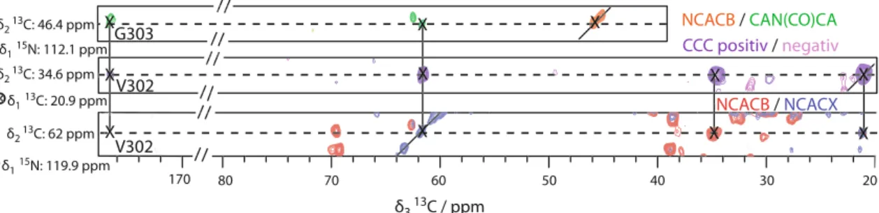 Fig. 3 Two-residue strip plot using the assignment procedures given in Fig. 2. First strip: overlay of NCACB (red) and CAN(CO)CA (green), identification of the N, Ca and Cb resonances of residue i and of the potential C 0 and Ca pair of residue i-1; second